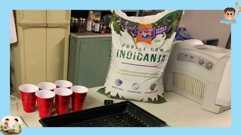 Potting Soil & other products