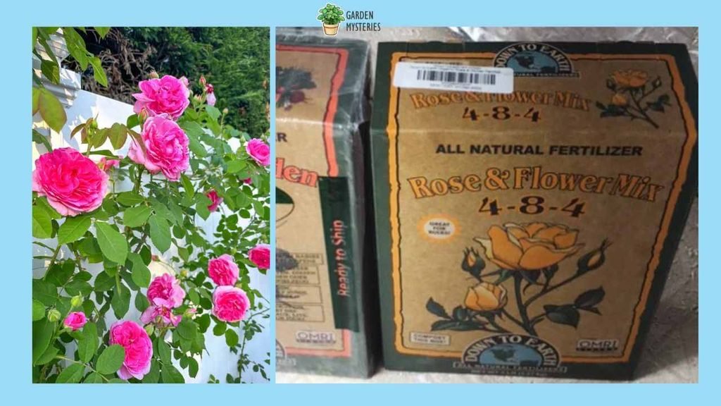 Down To Earth Rose & Flower Mix