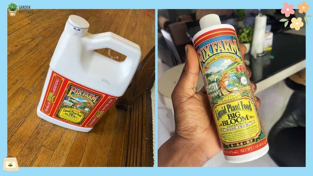 Liquid Concentrate: FoxFarm Big Bloom Liquid Plant Food
