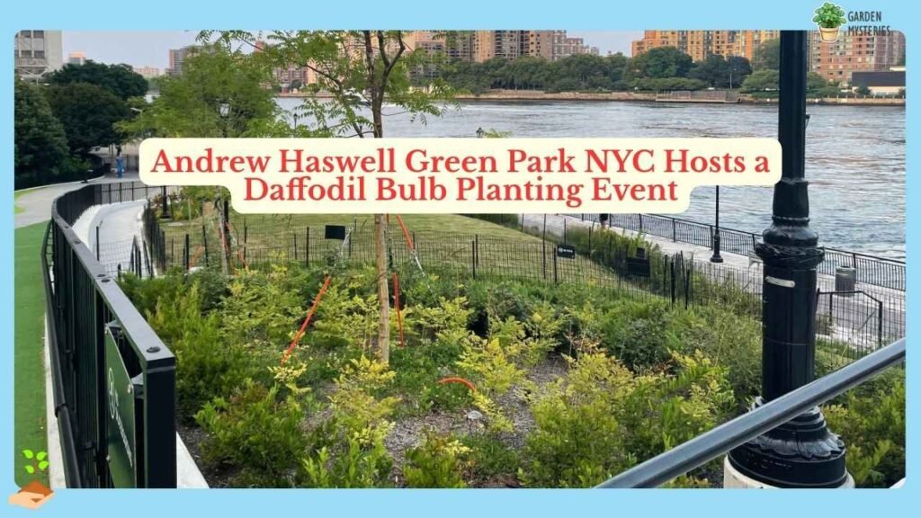 Green Park NYC events