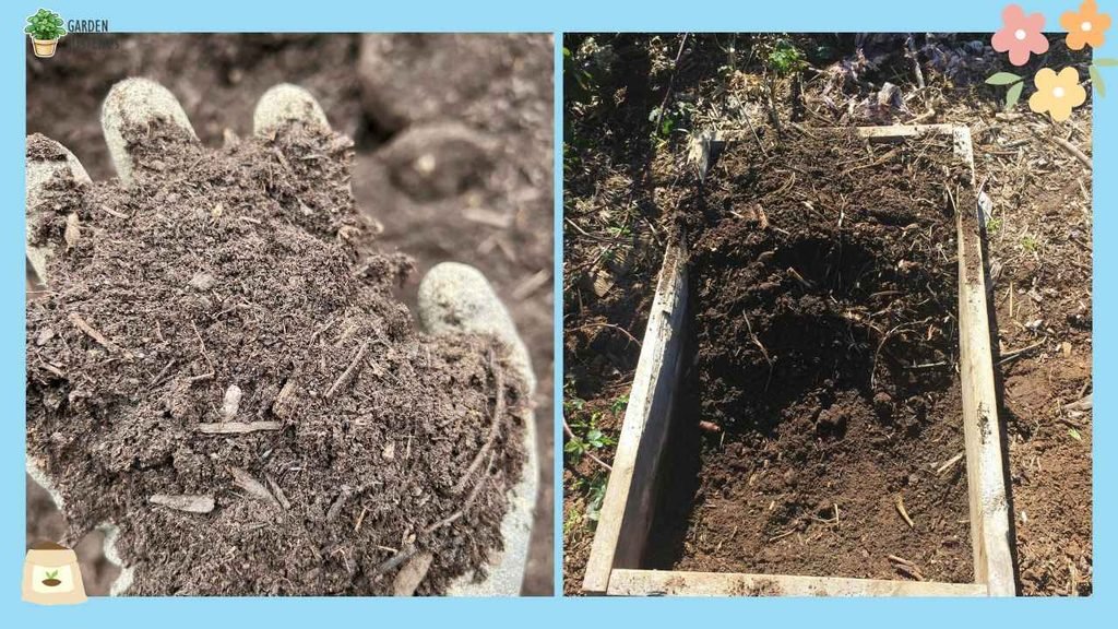 I Used this Compost in July