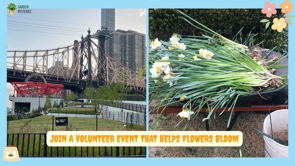 Event That Helps Flowers Bloom in Spring