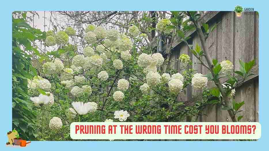 Pruning at the Wrong Time Cost You