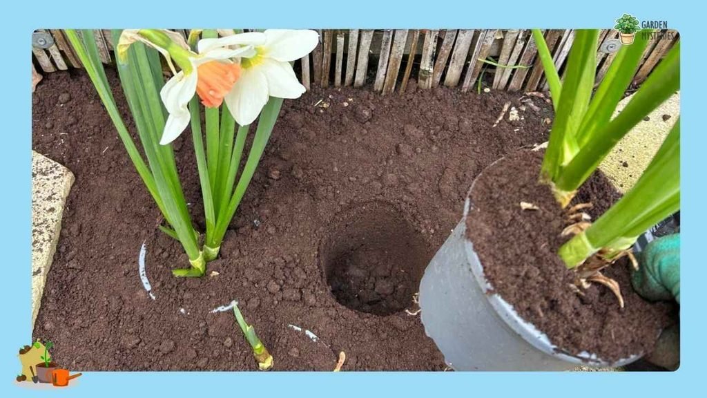 Garden Mysteries Cares About This Event
